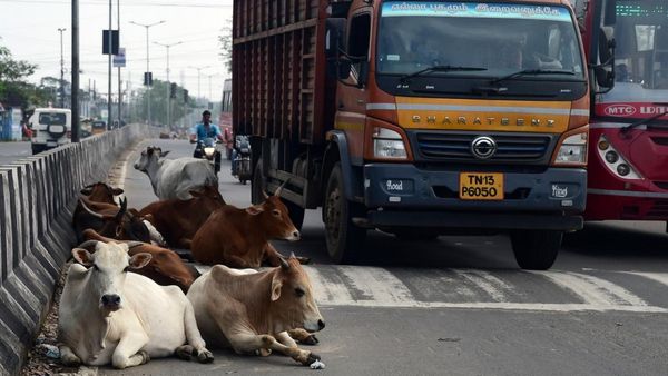 சென்னைவாசிகளே உடனே இதை பண்ணுங்க.. மாநகராட்சியில் வண்டியோட ரெய்டு வர்றாங்க.. தொல்லை தீரப்போகுது!