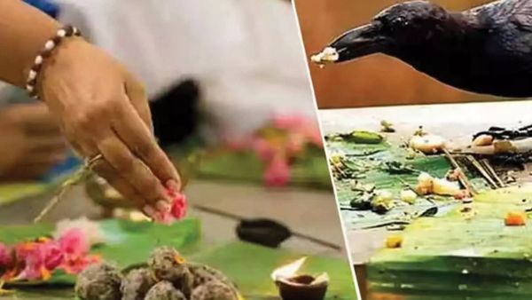 ஆடி அமாவாசை.. தடைகளை தரும் நீத்தார் கடன்.. பித்ரு தோஷம் தீர தர்ப்பணம் தருவதன் முக்கியத்துவம்