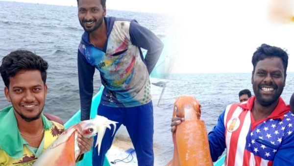 கடலுக்கு 