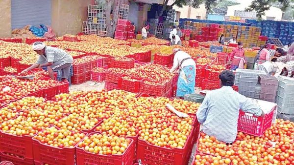 ஷாக்! சென்னையில் தக்காளி விலை மீண்டும் உயர்வு.. கோயம்பேடு சந்தையில் ஒரு கிலோ ரூ.150க்கு விற்பனை