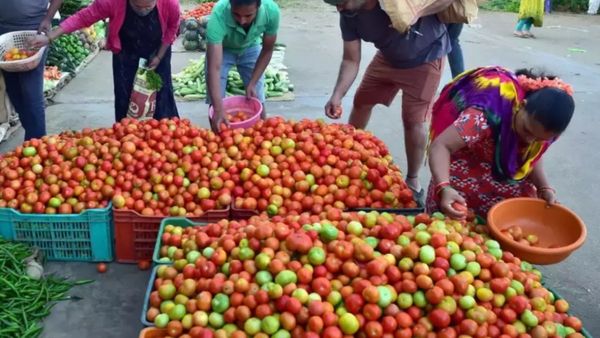 தொடர்ந்து ஷாக் கொடுக்கும் தக்காளி.. விலை அதிகரிப்பால் மக்கள் கலக்கம்.. இன்று எவ்வளவு கூடியிருக்கு?