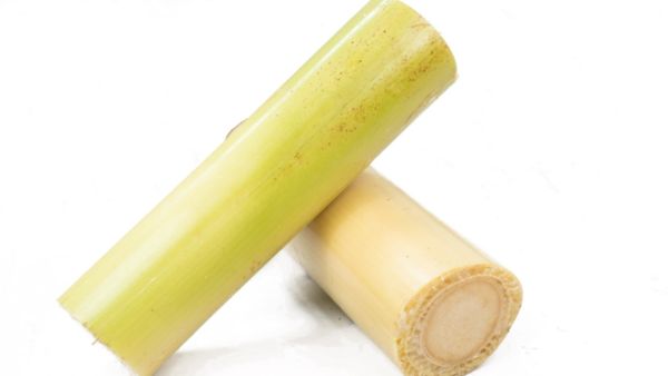 தம்மாத்தூண்டு தண்டு 