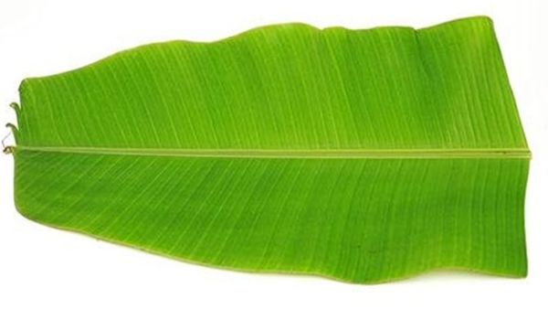 தலைவாழையிலையில்... இத்தனை நாளா 