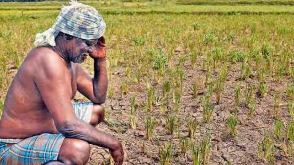 தண்ணீரின்றி கருகும் நாற்றுக்கள்.. கண்ணீரில் திருவாரூர் விவசாயிகள்.. டிராக்டர் வைத்து அழித்து வேதனை