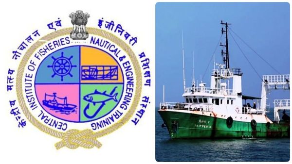 சிஃப்னெட்: ஆழ்கடலில் பயிற்சியுடனான கப்பல் வழிகாட்டி, கடல்சார் ஃபிட்டர் படிப்பு- விண்ணபிக்க அவகாசம்!