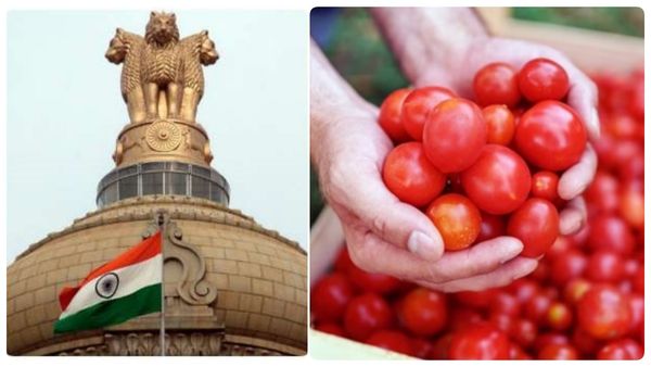 ஆந்திரா, கர்நாடகா, மகாராஷ்டிராவில் இருந்து தக்காளி கொள்முதல் செய்ய மத்திய அரசு உத்தரவு!