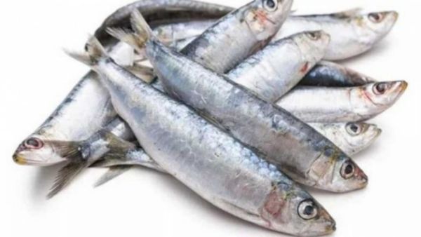 மீனின் முள்.. மீன் கண்ணுக்குள்ளே இவ்ளோ இருக்கா.. மீன் முள்ளை சாப்பிட்டால் நடக்கும் ஆச்சரியம்.. வாவ்