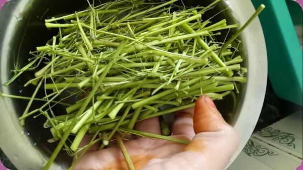 முருங்கை ஈர்க்கு.. முருங்கைக்கீரையை பாருங்க.. இனி முருங்கை குச்சிகளை தூக்கி வீசிடாதீங்க.. இதை படிங்க