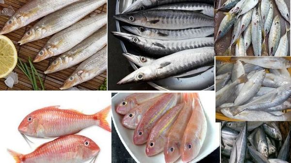 காரப்பொடி மீன்.. மீனை வாங்கினால் அயிரை மீனை அள்ளுங்க.. நுரையீரலின் நண்பன் இதை மட்டும் விட்றாதீங்க