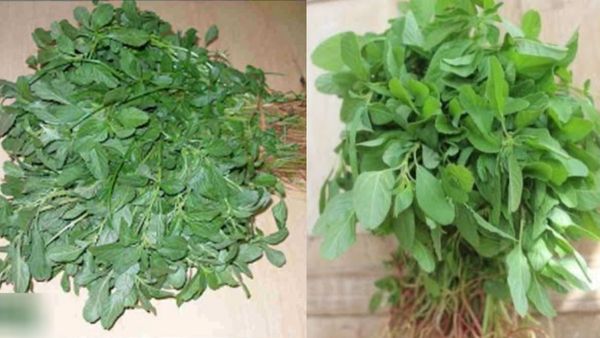 சிறு சிறு சிறுகீரை.. ஆண்களின் வரப்பிரசாதம் 