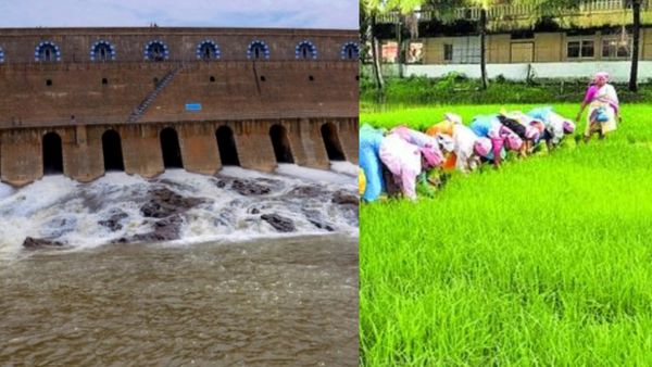 மேட்டூர் அணை நீர்மட்டம் 62 அடியாக சரிவு.. கவலையில் டெல்டா விவசாயிகள்..வருணபகவான் மனது வைப்பாரா?