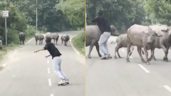 போயும் போயும்.. 