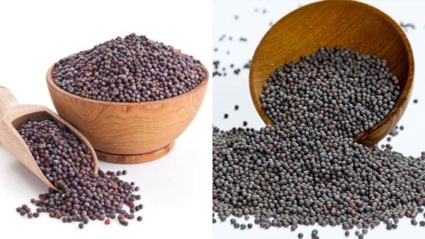 தம்மாதூண்டு கடுகு.. கேன்சரையே விரட்டும் 