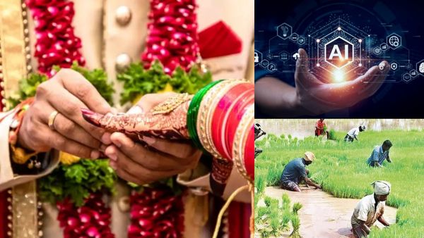 அதிக சம்பளம் வாங்கும் மாப்பிள்ளைக்கு ஆசைபட்டு AI சிக்கலில் சிக்கிறாதீங்க பெண்களே! விவசாயமே நிரந்தரம்