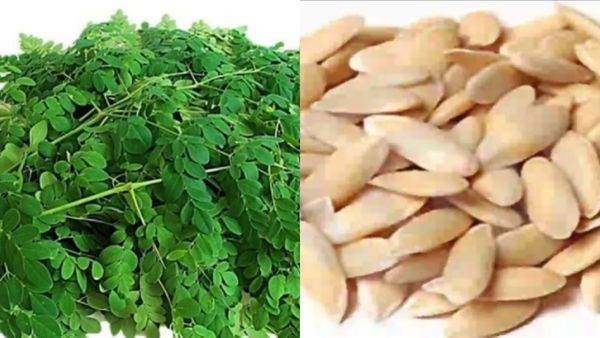 முருங்கை வாங்குறீங்களா? இந்த 