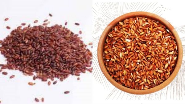 குடலை காக்கும் குடவாழை.. நோய்களை அசால்ட்டா விரட்டும் சிவப்பு கலர் குடவாழை அரிசி.. சூப்பர் 