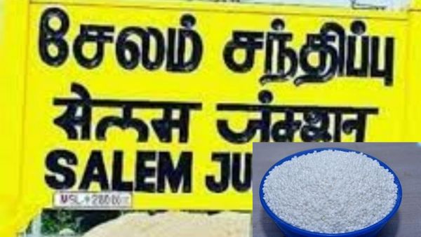 சேலமே துள்ளுதே.. பூரிப்பில் எகிறி எகிறி குதிக்கும் 