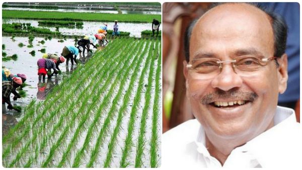 விவசாயிகளுக்கு ஒரே நேரத்தில் 2 வகையான சிக்கல்கள்.. அரசு உடனே 'இதை' செய்ய வேண்டும்.. ராமதாஸ்