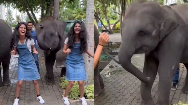 யானை குட்டி என்னம்மா ஆடுது.. பெண்களோடு போட்ட அந்த ஸ்டெப் தான் வேறலெவல்.. வீடியோ பாருங்க