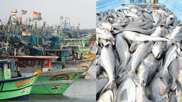 மீன்பிடி தடைக்கால நிவாரணத் தொகை ரூ.5,000லிருந்து ரூ.8,000 ஆக உயர்வு! 1,79,000 மீனவ குடும்பங்கள் பயன்