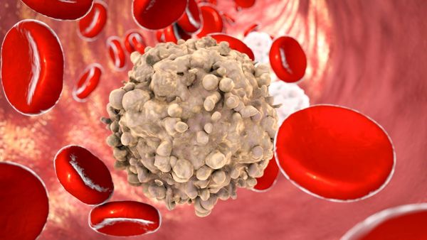 இத்துணூன்டு விதை.. மொத்தமா உங்க வெயிட்டை குறைச்சிடும் பாருங்க.. இந்த 2 விஷயத்தையும் மறக்காம பண்ணுங்க