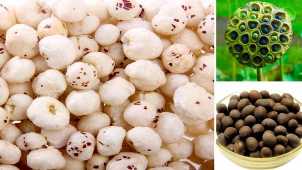 நோன்பு காலத்தில் உண்ணக் கூடிய விதை.. வெயிட் லாஸுக்கு சூப்பர் மருந்து.. இதயத்தை பாதுகாக்கும் சீட்!