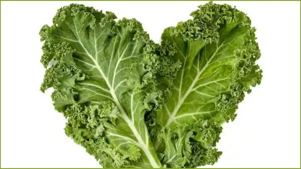 ஒல்லி ஒல்லி உடம்பு வேணுமா.. அப்ப இந்த 