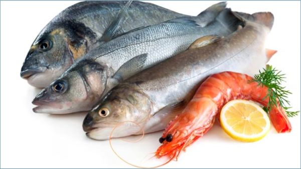 மீனு மீனேய்.. மிஸ் பண்ணாம இந்த 