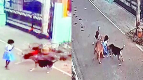 கிருஷ்ணகிரியில் 