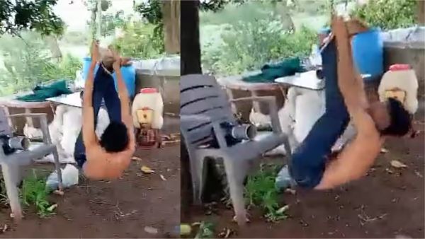 ஈரக்குலையே நடுங்கிடுச்சு.. யாரிந்த பிஞ்சுகள்.. மறுபடியும் ஆரம்பிச்சிட்டாங்களா? பதறிக்கேட்ட இணையம்