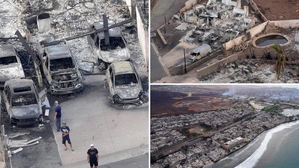 ஹவாய் தீவில் பற்றி எரிந்த காட்டுத் தீ! உயிருக்கு பயந்து கடலில் குதித்த மக்கள்.. 53 பேர் பலியான சோகம்