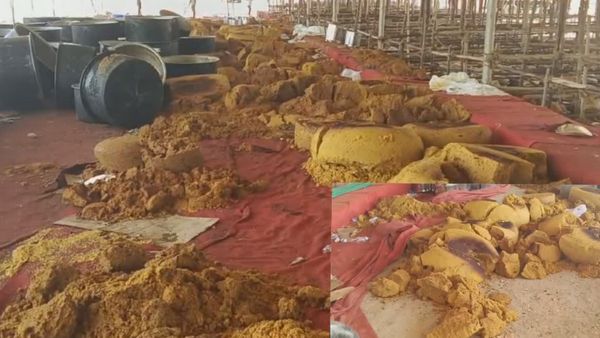 பூஞ்சை பிடித்து குவியல் குவியலாக கொட்டப்பட்ட புளி சோறு! வீணானது ஏன்? சமையல் கலைஞர் விளக்கம்