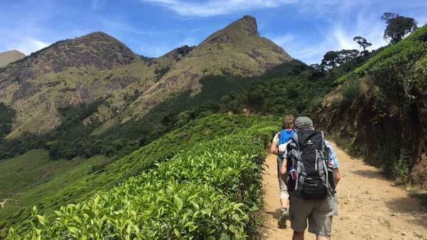 கொழுக்குமலை டிரக்கிங் .. சுற்றுலா பயணிகளுக்கு கெட்ட செய்தி .. கேரள ஹைகோர்ட்டில் பரபரப்பு அறிக்கை