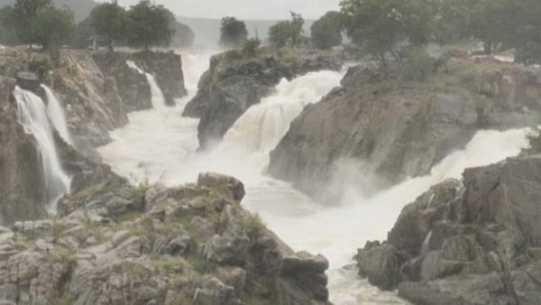 காவிரியில் பெருக்கெடுக்கும் நீர்.. ஒகேனக்கல் நீர்வரத்து 10,000 கன அடியாக உயர்வு.. பரிசல் இயக்க தடை!