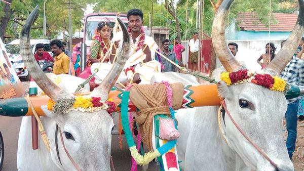 தூத்துக்குடியே 