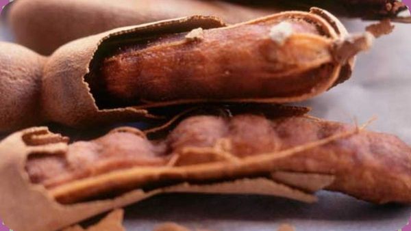 புளியங்காய்.. புளியம்பழம் மட்டுமல்ல, புளியின் தளிரும் மருந்தாகும்.. 