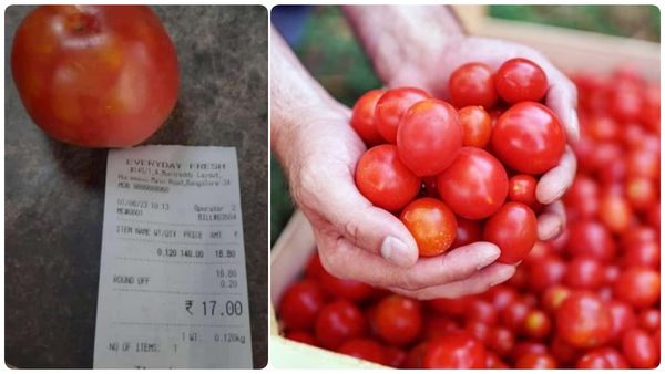 ஒரு கிலோவை விடுங்க! ஒரே ஒரு தக்காளி என்ன ரேட் பாருங்க.. இதுக்கே தனியா சம்பாதிக்கணும் போல! ரொம்ப ஓவர்