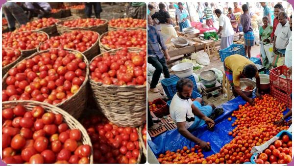 தொடர்ந்து சரிந்த தக்காளிக்கு பிரேக்! இன்று காய்கறிகள் விலை எவ்வளவு? இதோ கோயம்பேடு சந்தை நிலவரம்