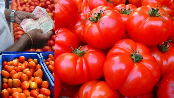 குட்நியூஸ்.. மீண்டும் மீண்டும் குறையும் தக்காளி விலை! இன்றைய கோயம்பேடு காய்கறிகளின் ‛ரேட்’ இதுதான்!