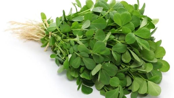 வெந்தயக்கீரை.. மளமளன்னு உடல் சதை கரையணுமா? சர்க்கரை நோயாளிகள் வெந்தயக்கீரையை மட்டும் விட்றாதீங்க