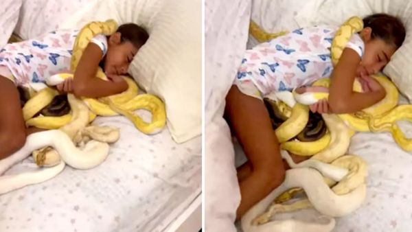 போயும் போயும்.. 