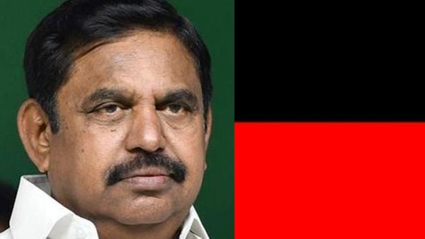 தூண்டிலில் சிக்கிய 13 திமிங்கலம்.. 