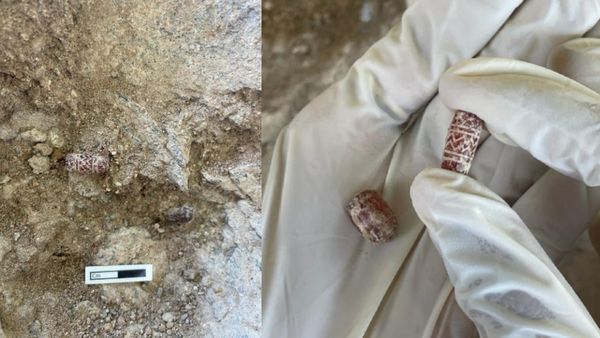 கீழடியில் கிடைத்த பொக்கிஷம்.. வேலைப்பாடுகள் கொண்ட கார்னிலியன் மணிகள் கண்டெடுப்பு!