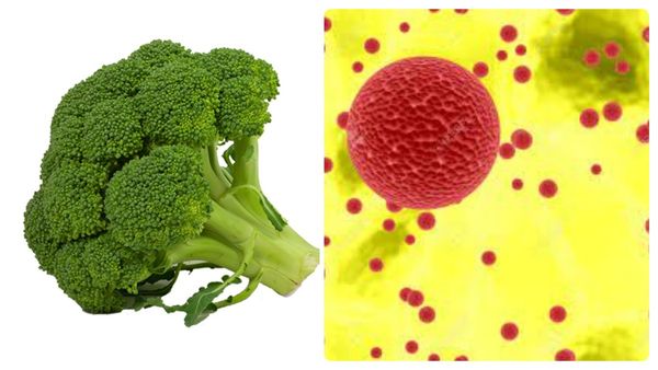 ஆசனவாயில் ரத்தமா.. மூலநோய் மிரட்டுதா.. முளையிலேயே விரட்டலாம்.. ஈஸியா விரட்டலாம்.. அற்புத பழம் இதுதான்