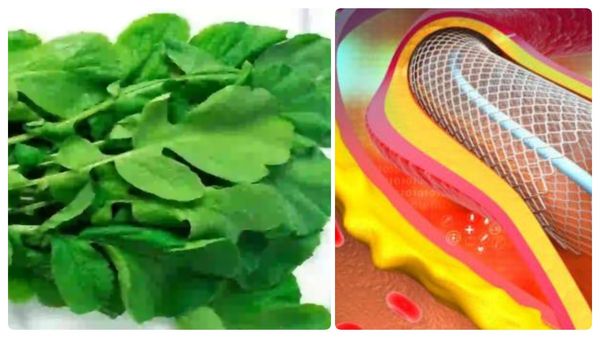 தொள தொளா தொந்தி.. தொங்கும் ஊளைச்சதையை விரட்ட இது ஒன்னே போதும்.. ஈஸியா கரைந்தோடிரும்.. ட்ரை பண்ணுங்க