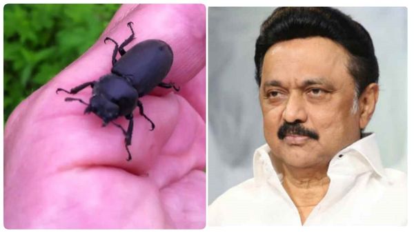 கதண்டு தாக்கி உயிரிழந்த நபர்.. இரங்கல் தெரிவித்து ரூ. 2 லட்சம் நிதி உதவி அறிவித்த முதல்வர் ஸ்டாலின்!
