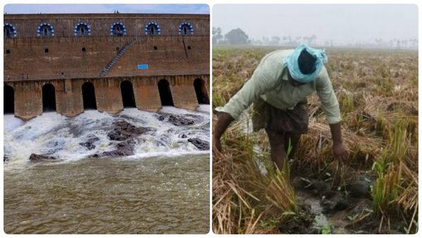 தொடர் சரிவில் மேட்டூர் அணை நீர்மட்டம்.. கருகும் நெற்பயிர்கள்.. விவசாயிகளுக்கு நிவாரணம் கிடைக்குமா?