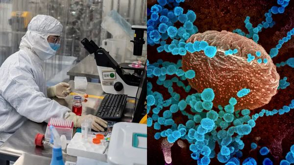 5 கோடி பேர் உயிர் போகும்.. அடுத்த பேரழிவை ஏற்படுத்த போகும் Disease 'X'.. ஏற்கனவே ஆரம்பித்துவிட்டதாம்