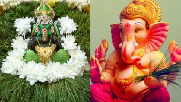 அருகம்புல்லுக்கு பெருமை கொடுத்த பிள்ளையார்.. எளிமையான எருக்கம் பூ ஏன் பிடிக்கும் தெரியுமா?