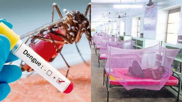 அசுர வேகத்தில் பரவும் டெங்கு.. தமிழகத்தில் ஒரு வாரத்தில் 113 பேர் பாதிப்பு.. தப்பிப்பது எப்படி?